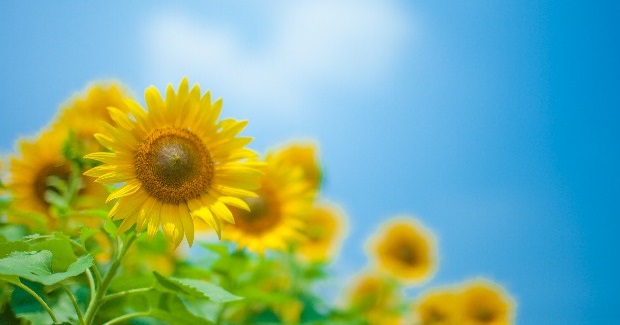 令和7年度　なないろ　自己評価を公表いたします